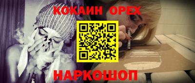 гашик Дубна
