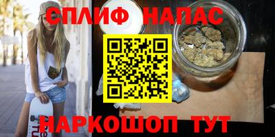 гашик Дубна