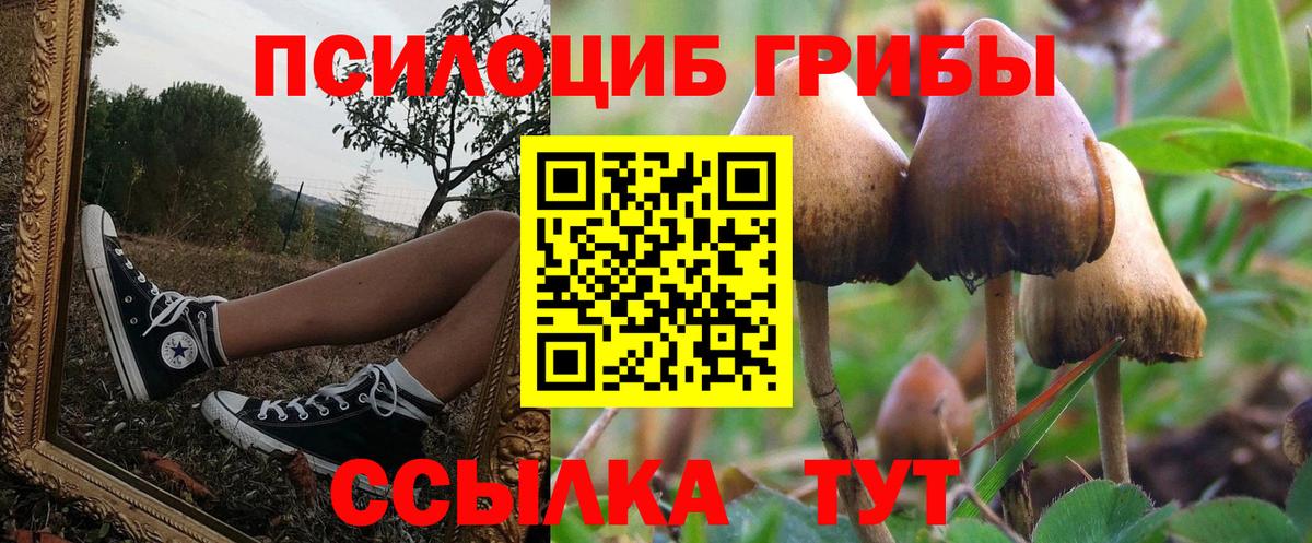 Псилоцибиновые грибы MAGIC MUSHROOMS Михайловка